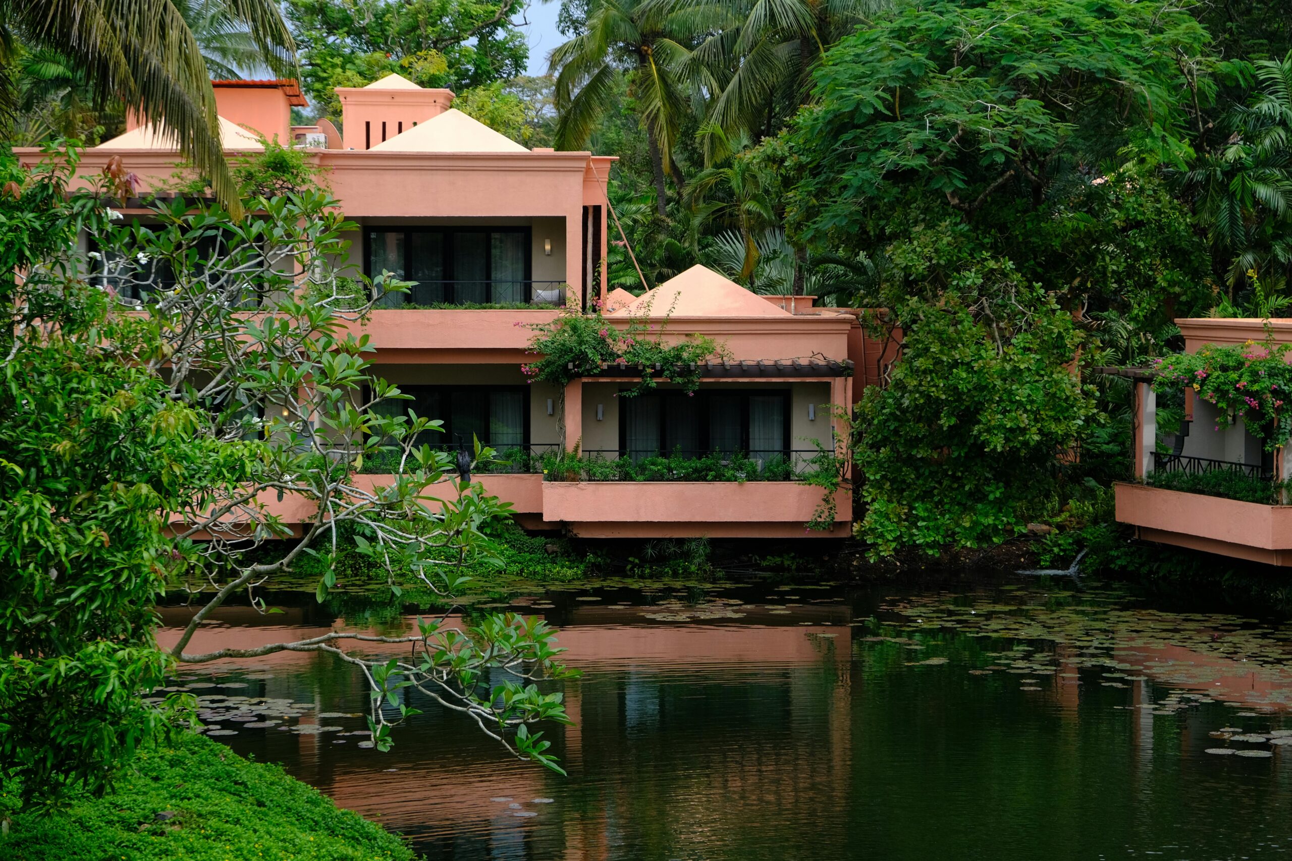 pexels-photo-34636887-34636887